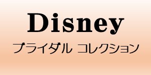 Disney Bridal Collection ディズニー　ブライダルコレクション